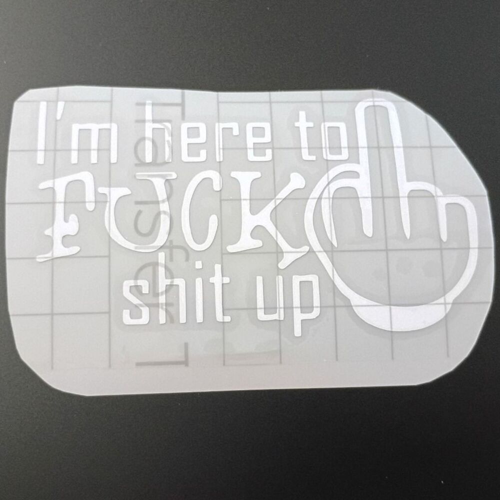 Adult humor Vinyl Decal chaos Sticker Window Laptop Decals 4 inch middle finger